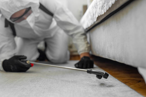 Professional Cockroach Control technician working in Cambridge, IL