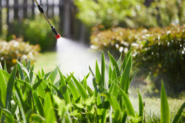 24/7 Emergency Cockroach Control experts in Cambridge, IL