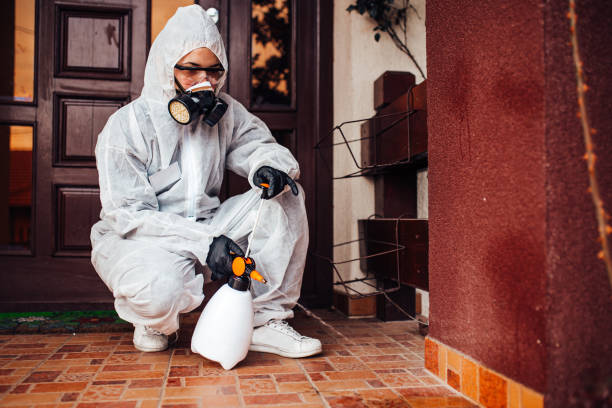 Reliable Cockroach Control contractor in Cambridge, IL by Nex Pest Control